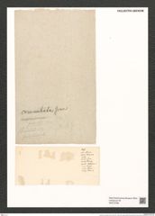 Synedra communata Grun. (de-Toni-Nr.: Genus 66, Species 2664) Zeichnungen Sammlung Grunow (NHMW-BOT-W0373789)